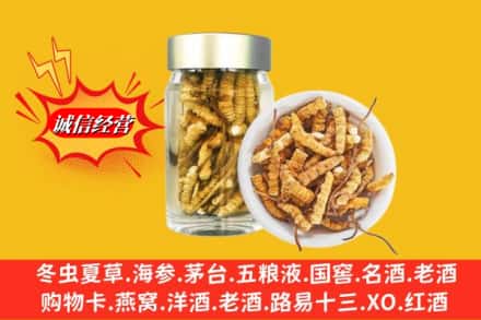 老河口市回收散虫草