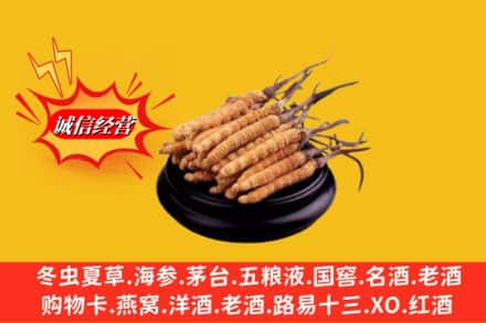 老河口市求购回收虫草多少钱每克